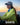 Humminbird Ladies Shirts